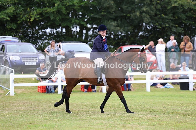 3E7A1286 - Class 8: Open Riding Horse/Hack