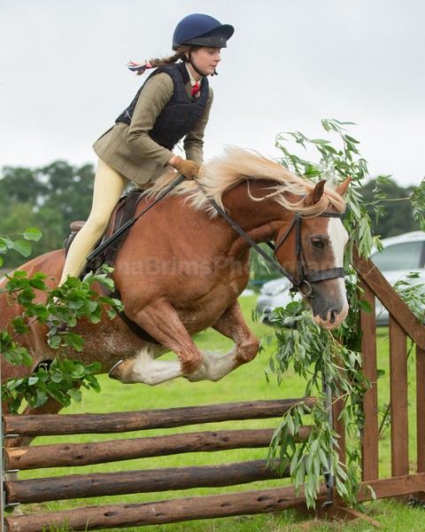 Dunblane show-426 - Dunblane and Doune Show Ring 1