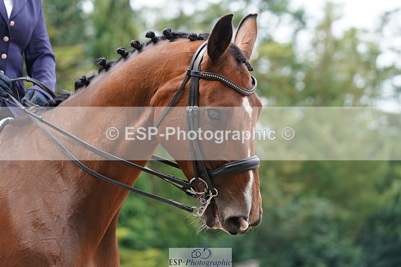 240721-103036-07618 - 193-Sally_Burchell-Tobiastar