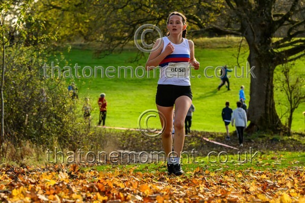 NatRel25-913852 - Young Female Set Two