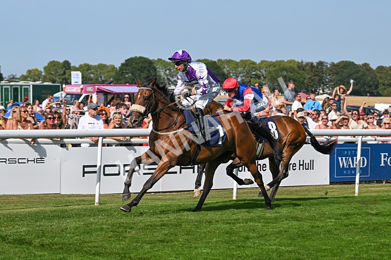 130825-Race 4-Dumfries-8546 - Race 4