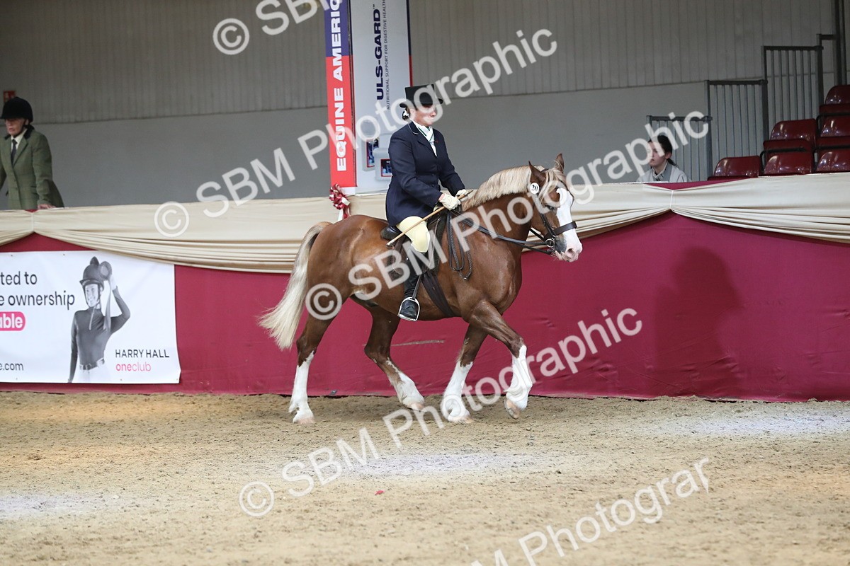 SBM_16287 - Class 502 M&M Ridden Supreme Final