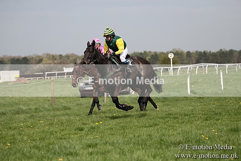 PtP 210418 32 - South & West Wilts Point-to-Point Larkhill 21/04/18