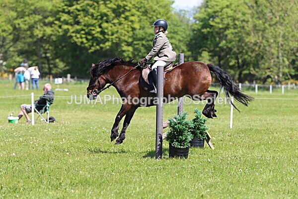 IMG_3613 - Working Hunter