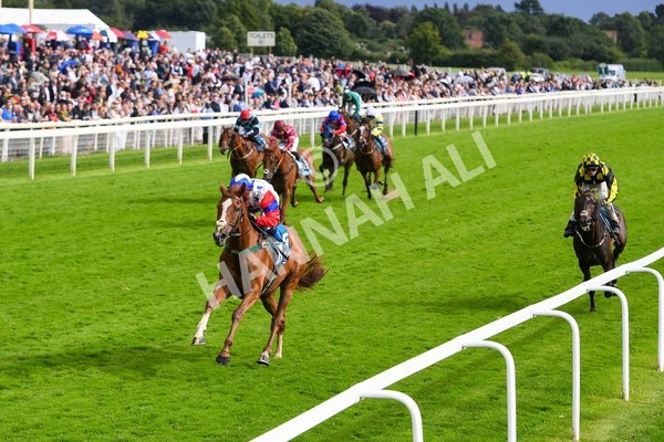 150723-Race 6-Robert Johnson-0639 - Race 6 4.55pm John Smith's Stayers' Handicap