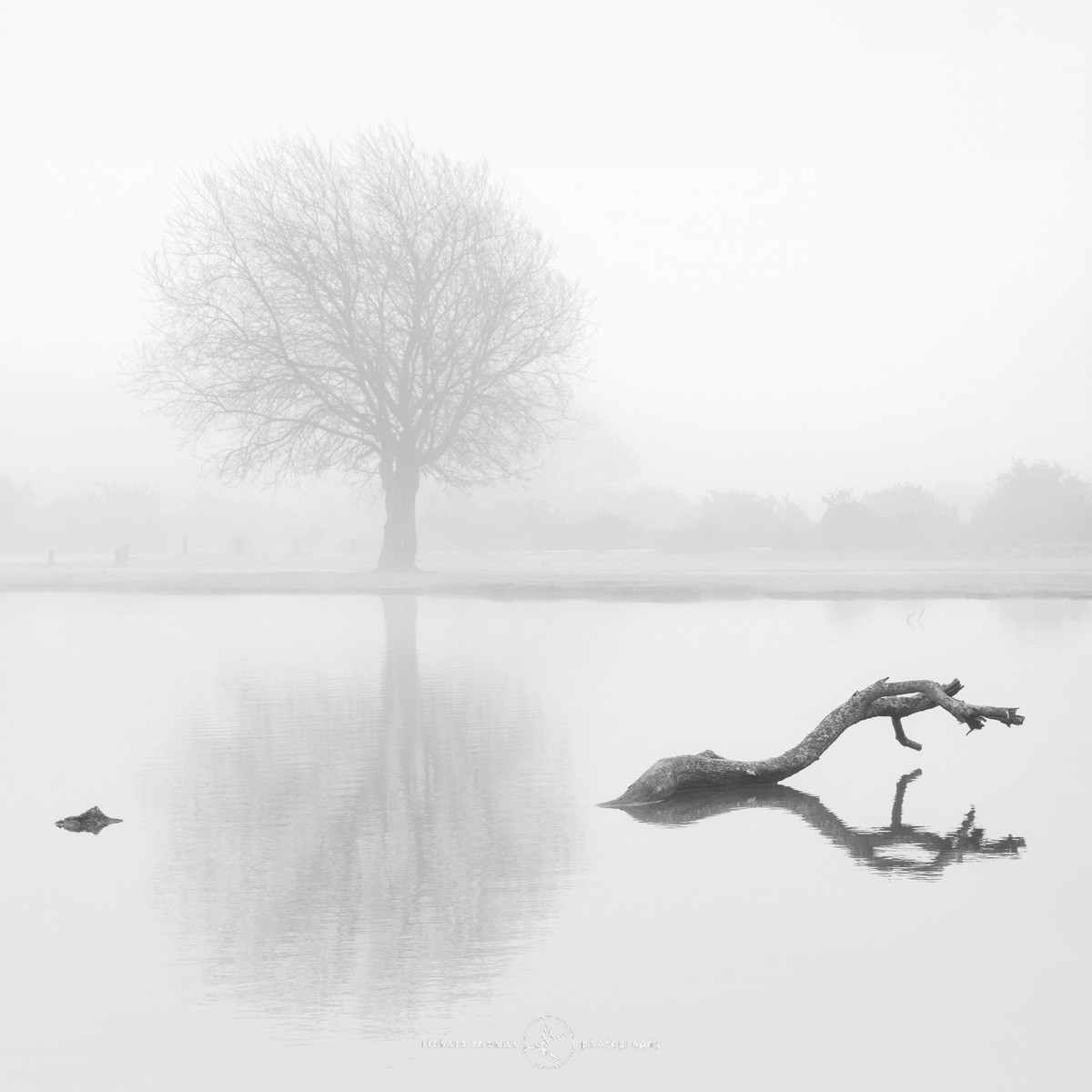 Submersion - One2Tree