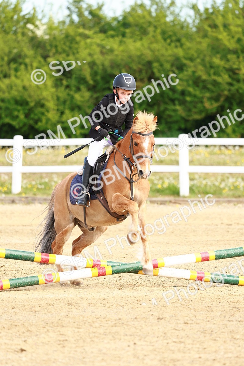 SBM_006628 - Class 1 - 40cm