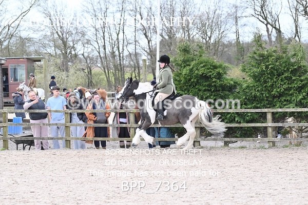 BPP_7364 - RING 1  (RIDDEN HORSES / IN HAND / VETERAN ETC)