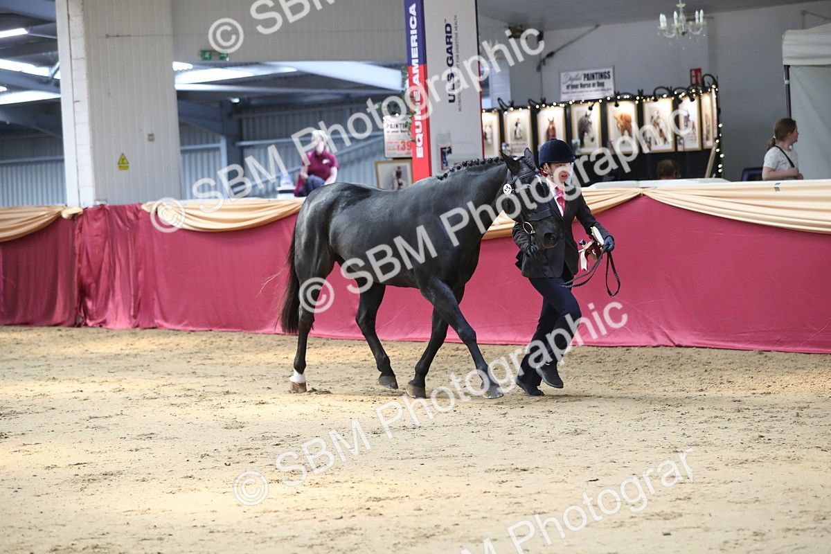 SBM_04499
