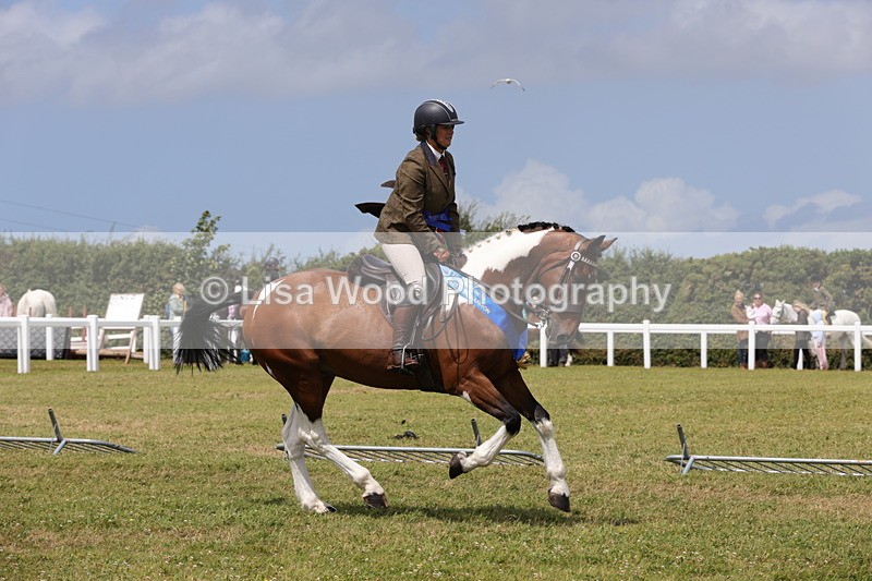 1X9A4998 - Veteran Championship