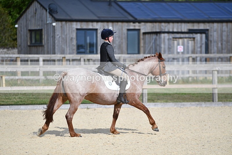 WJ5_8023 - Time 16:56 to 17:14