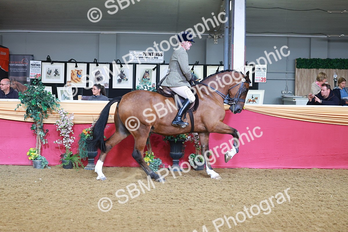 SBM_07625 - Class 101 - HOYS Veteran Qualifier - Ridden Diamond