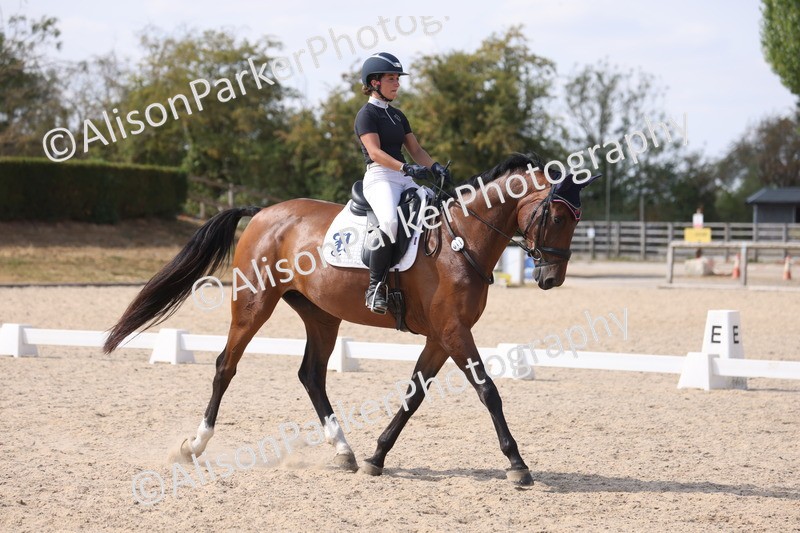 20260815-1097 - Class 6 - Novice 2