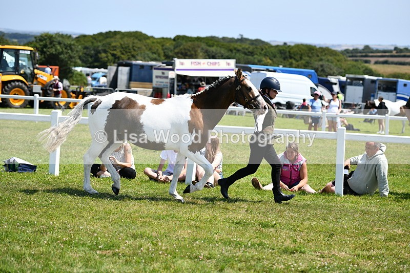 DSC_7637 - Class 64: Coloured Pony 4yrs & over