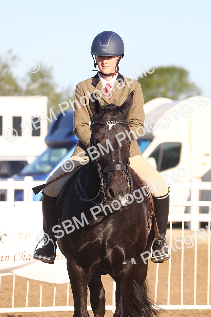 SBM_07888 - Class 501 - Riding Club Pony