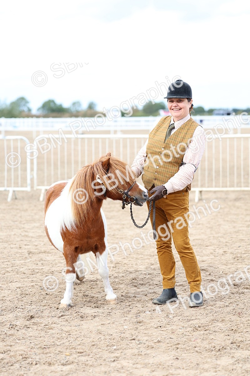 SBM_05894 - Class 29 - IH Veteran Pony