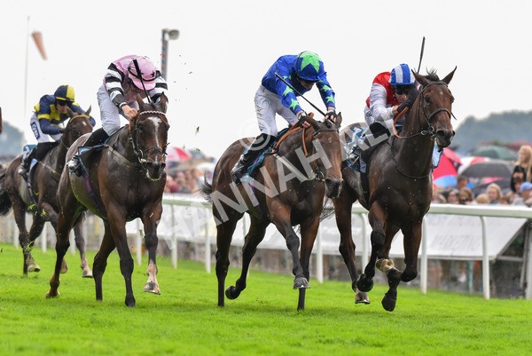 100923-Race 6-Anjo Bonita-2082 - Race 6 4.25pm Hanson Springs 60th Anniversary Handicap at York