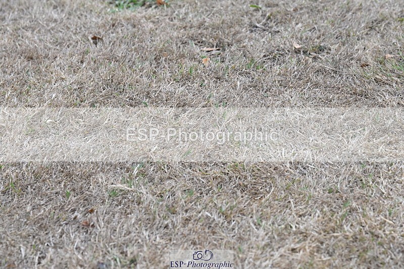 250820A-174959-12295 - Wednesday Presentations