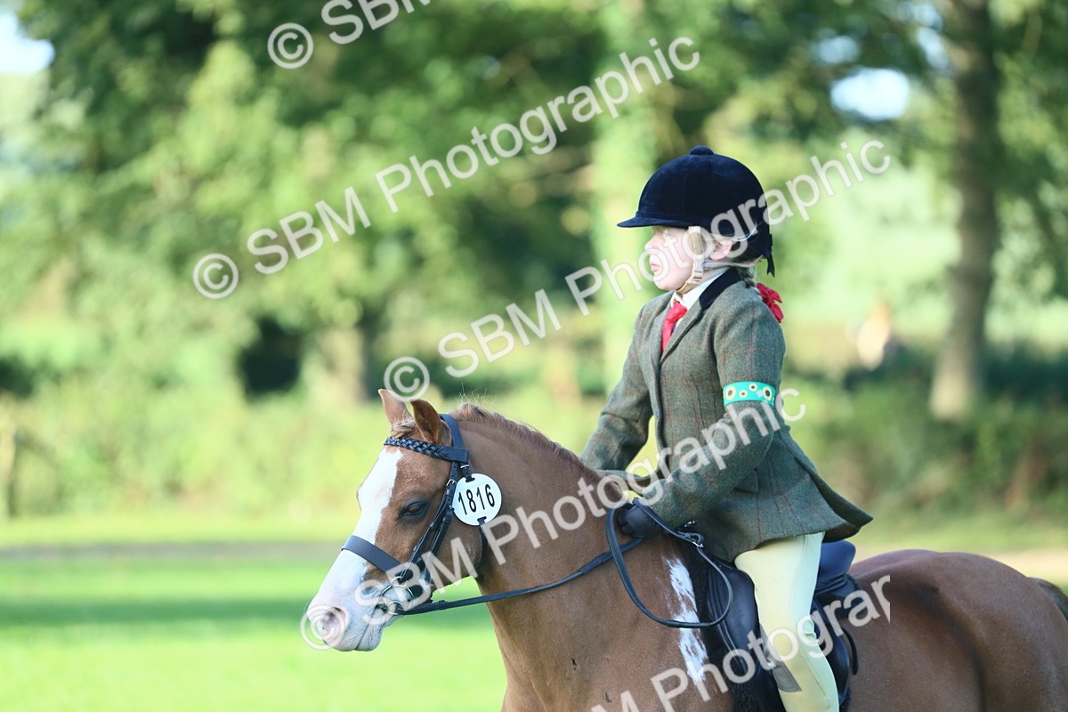 SBM_31824 - S28 - Nursery Stakes Working Hunter Pony