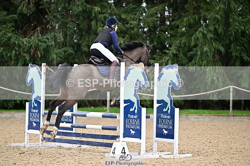 250201A-102804-00233 - Cls 01 Local Horse 90cm