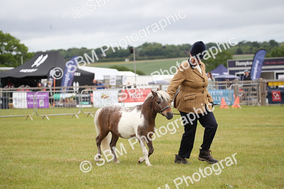 SBM_03798 - Class 23-25 - British Miniature Horse of the Year