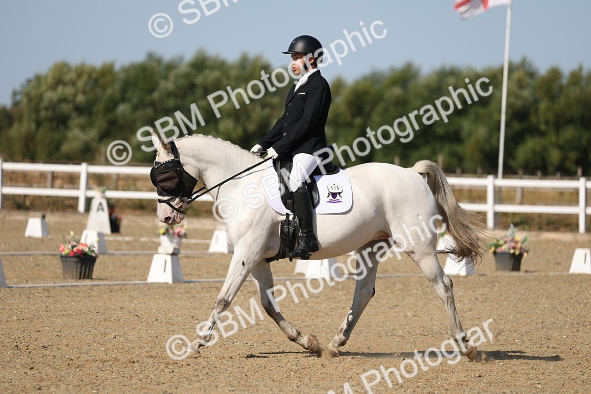 SBM_012819 - Class 1 - P5 Bronze 9.00.10.12