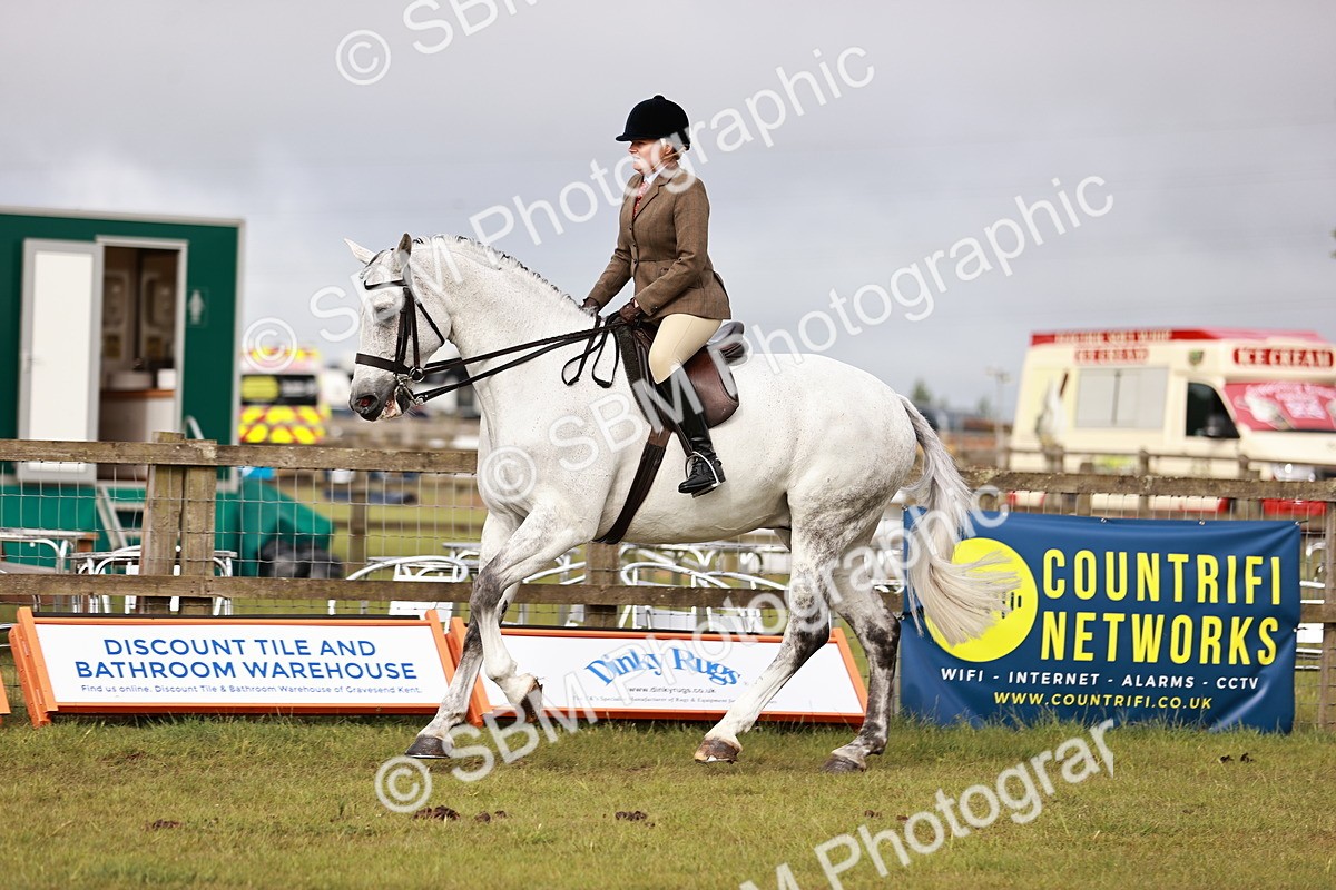 SBM_10865 - Class 81-84 - RIHS Ridden hunters Inc Ladies Hunter