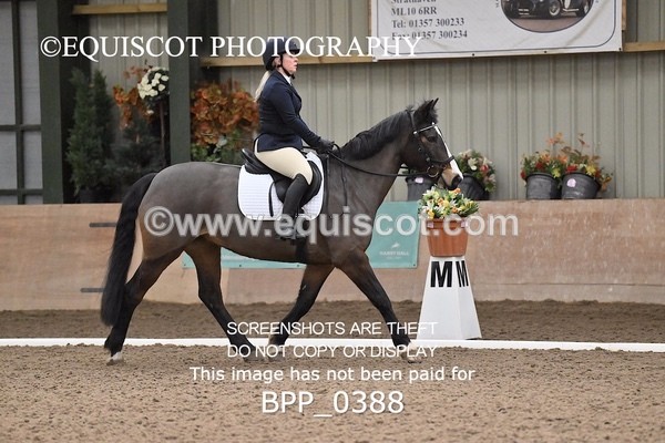 BPP_0388 - 6 - L HARRISON