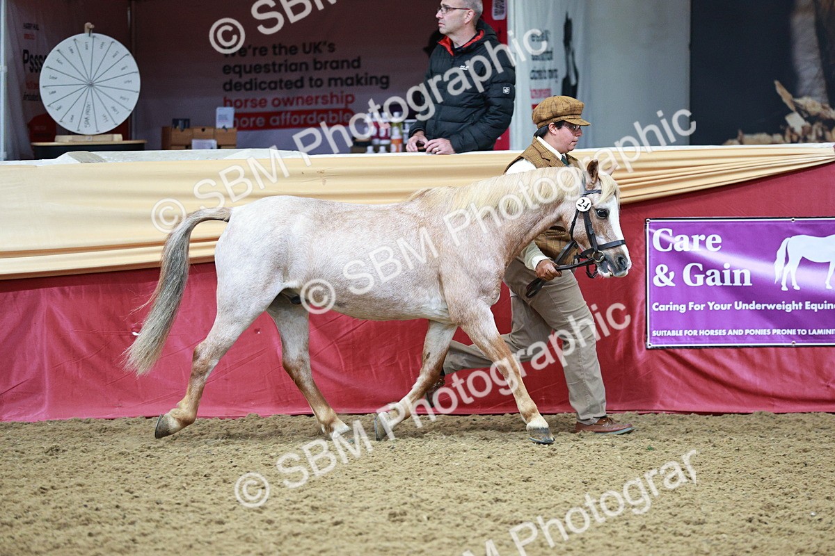 SBM_00888 - Class 2A - Area IH Veteran