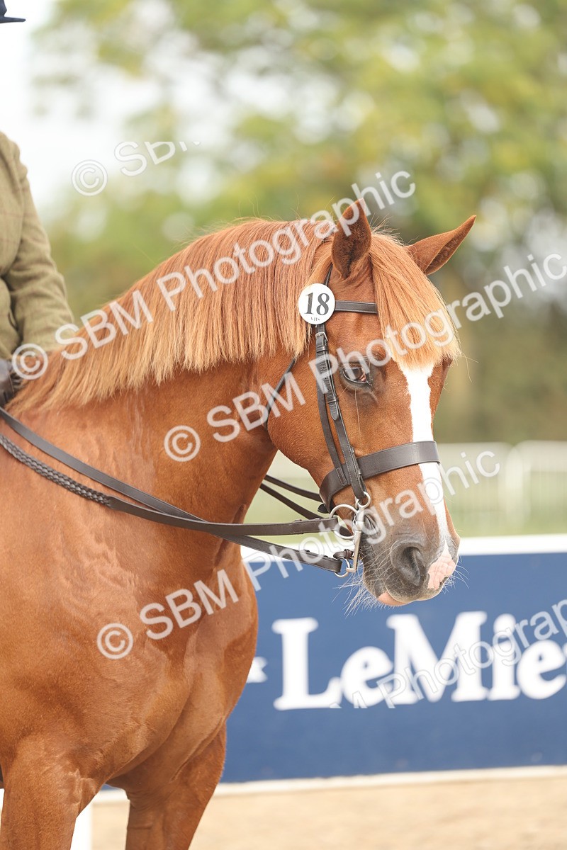 SBM_01940 - Class 14 - Ridden M&M Wildcard