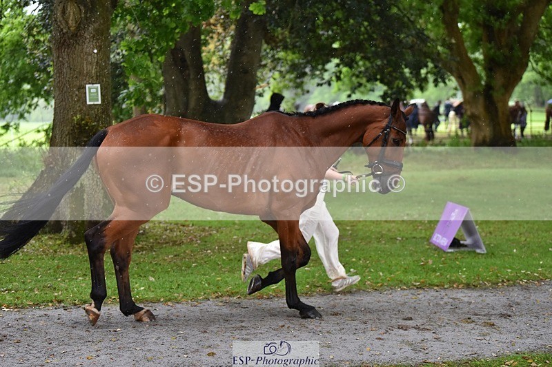 240522-161138-00772 - 158-MY_EASTWOOD_BRIGHTSIDE-Darcy_Zander