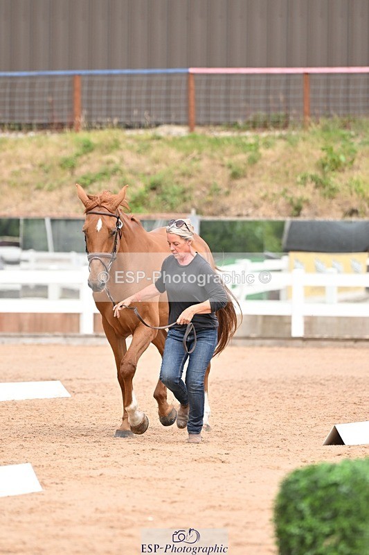 250716-154131-02118 - Trot Up 3.30 to 4.30