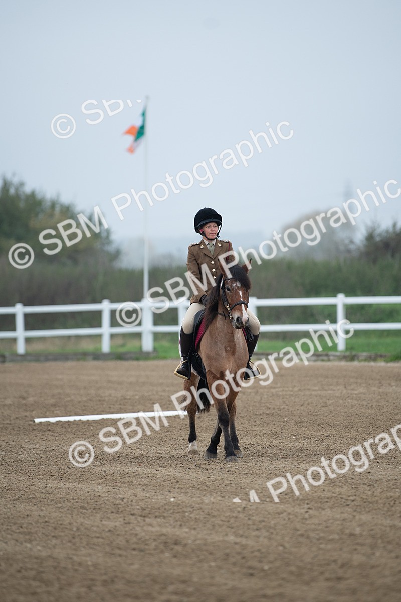 SBM_003410 - Introductory Test 3
