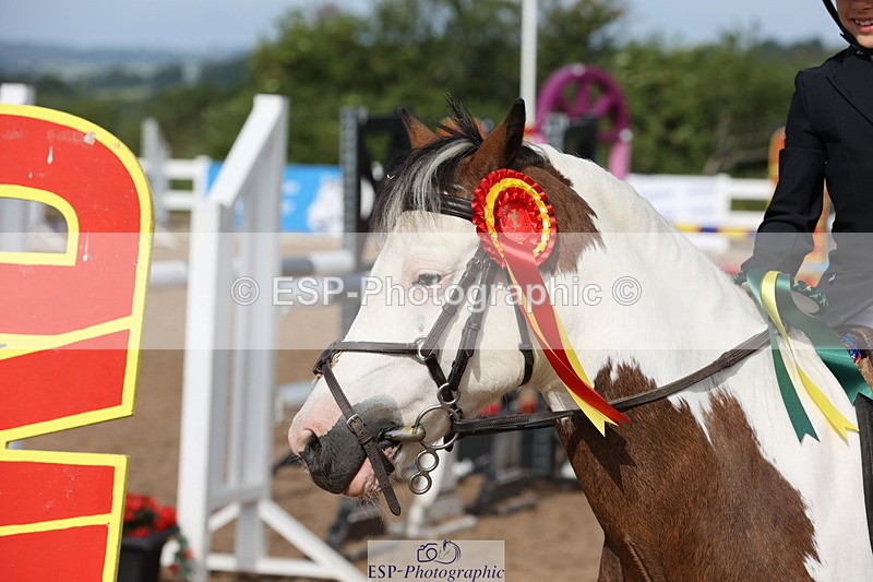 240629A-091555-02890 - Cls 16 British Novice and 80cm Open