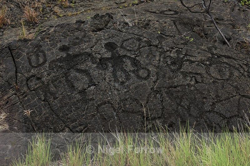 Close view of Pu'u Loa Petroglyphs, Hawaii Volcanoes National Park - Hawaiian Islands, USA