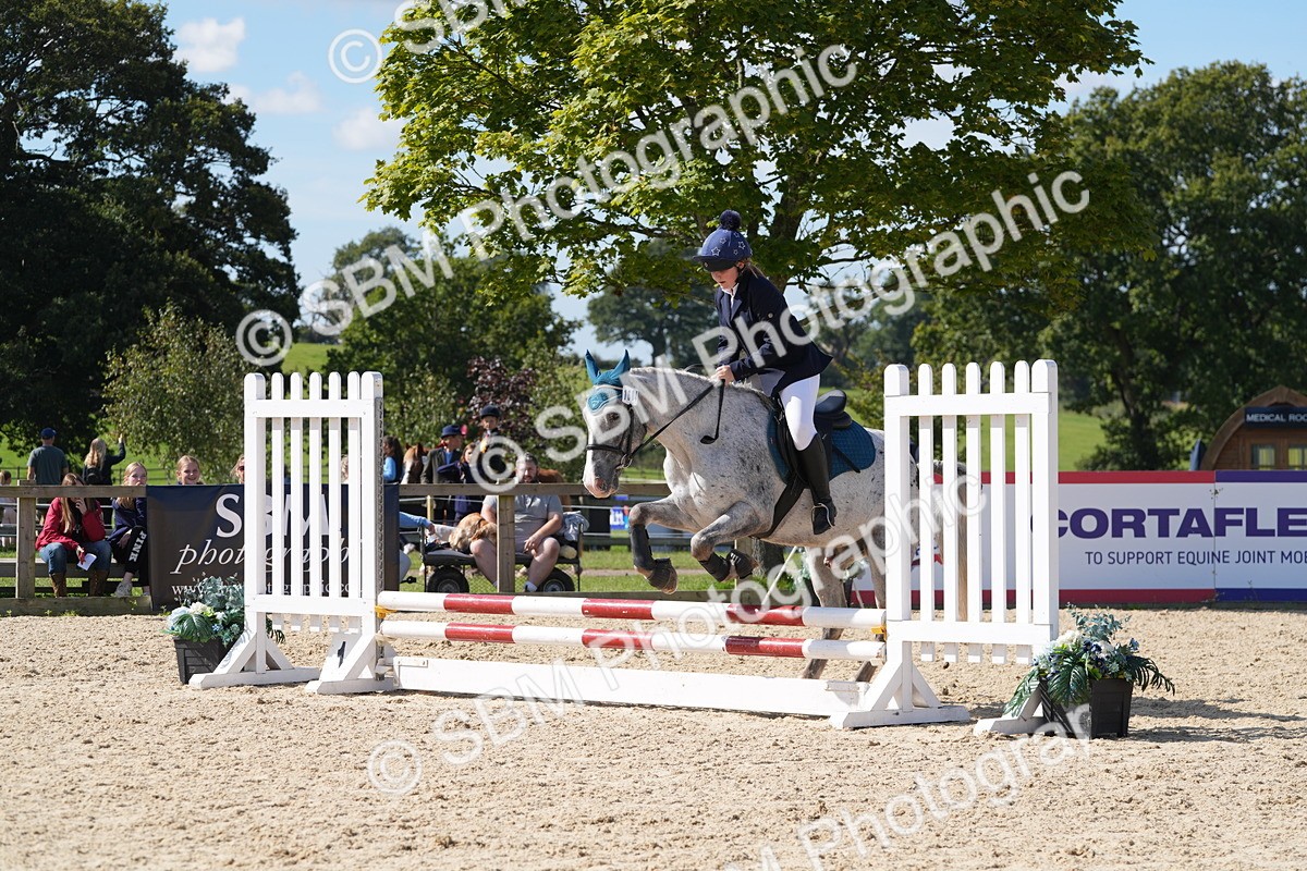 SBM_38846 - J21 - Junior Horse 60cm Championship