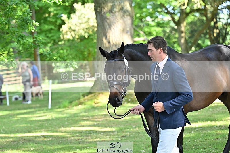 250521A-164911-01355 - C-264-Max.Warburton-EARL.DORADO