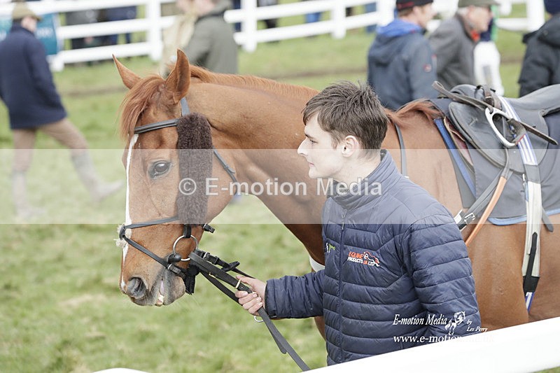 PtP 260323 0875 - New Forest Hounds Point-to-Point Larkhill 26/03/23
