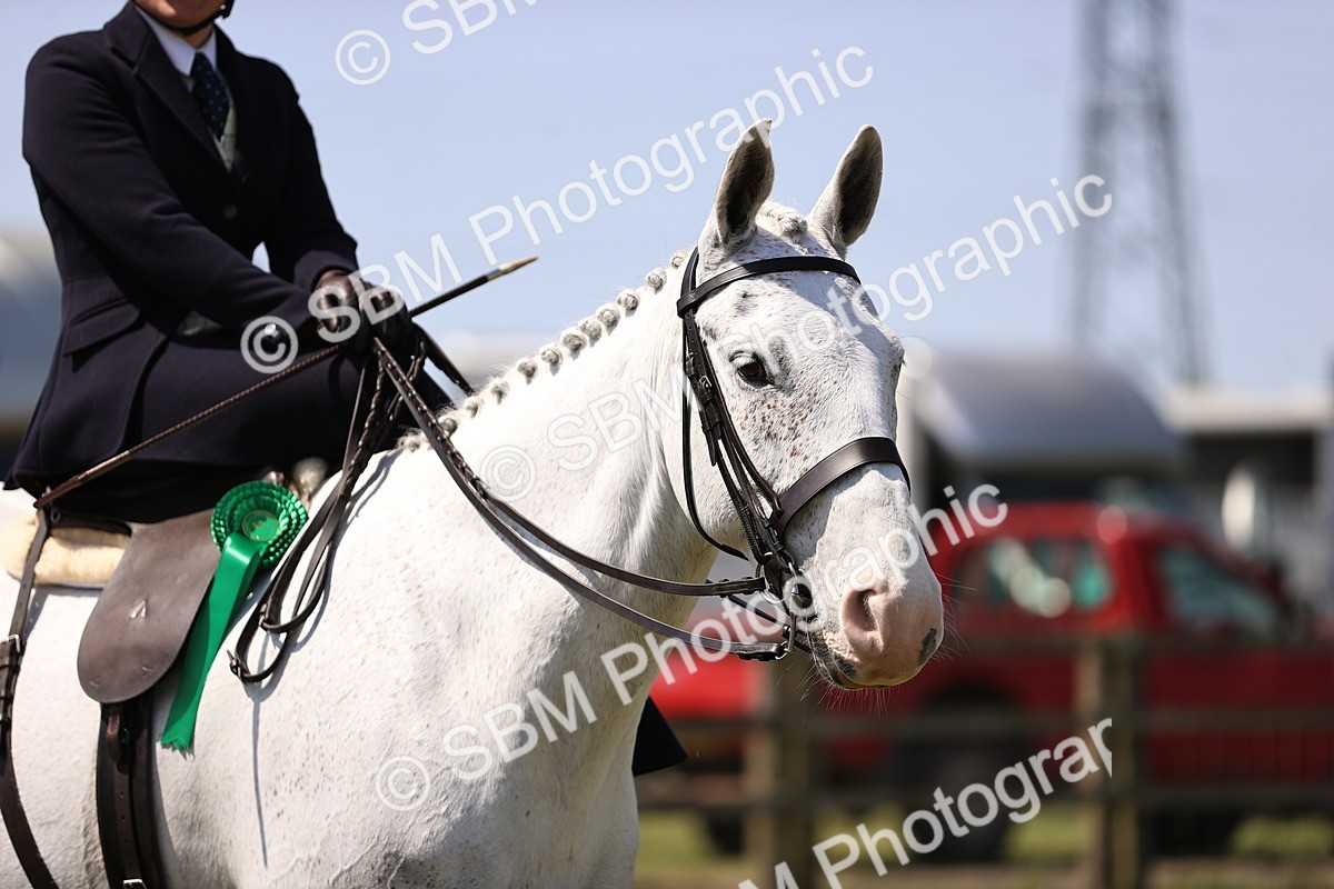 SBM_15241 - Class 79-80 - LIHS BSHA Rising Star Ridden Hunter