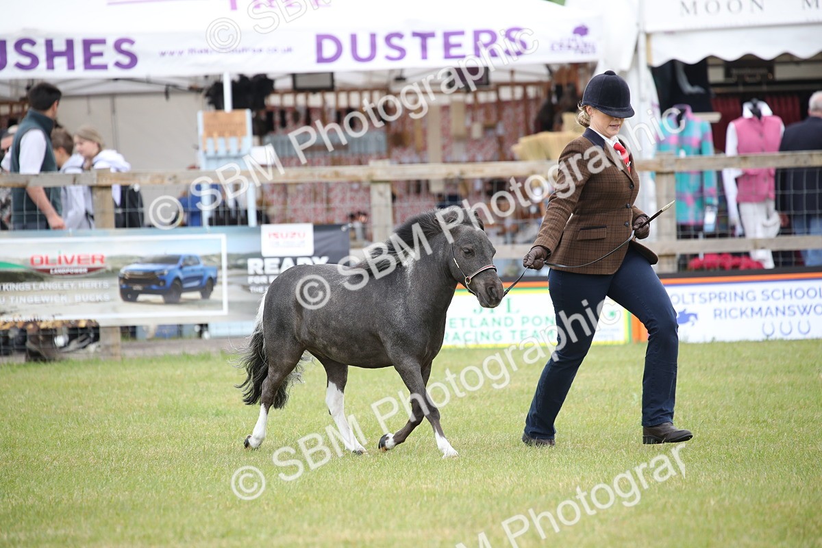 SBM_03992 - Class 23-25 - British Miniature Horse of the Year