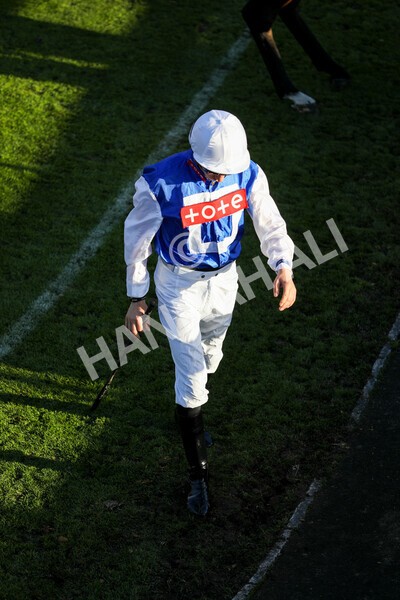 yr08102022r7-10 - Race 7 5.00pm The Coral Gets You Closer To The Action Stakes