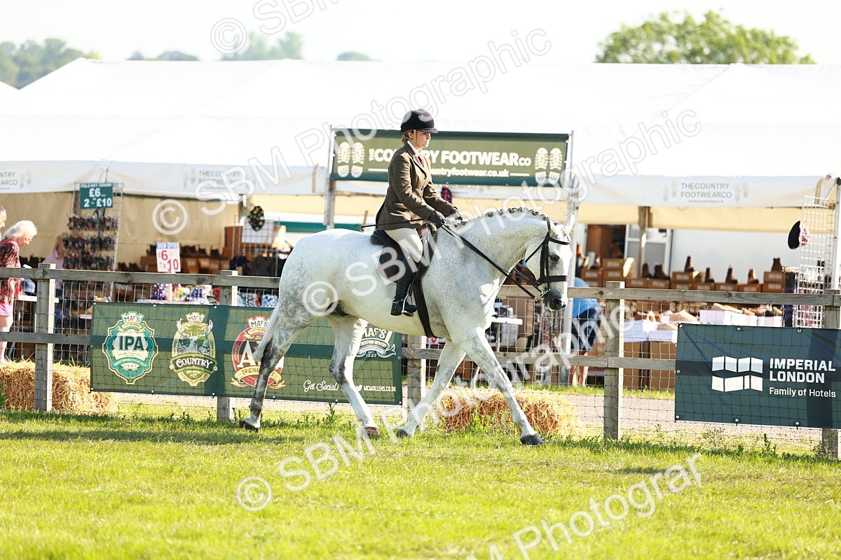 SBM_10883 - Class 66-69 - RIHS Ridden Hunters Inc Small Hunter