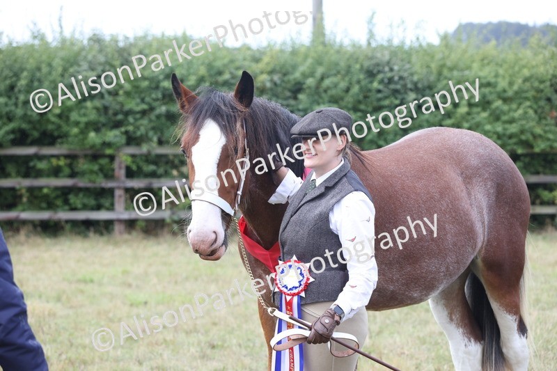 20250831-3111 - Inhand Championship