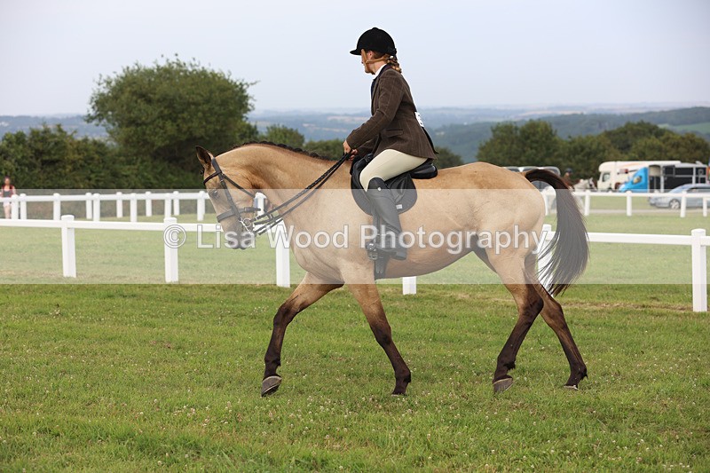 JPP_4413 - Class 26: Working Hunter 1m