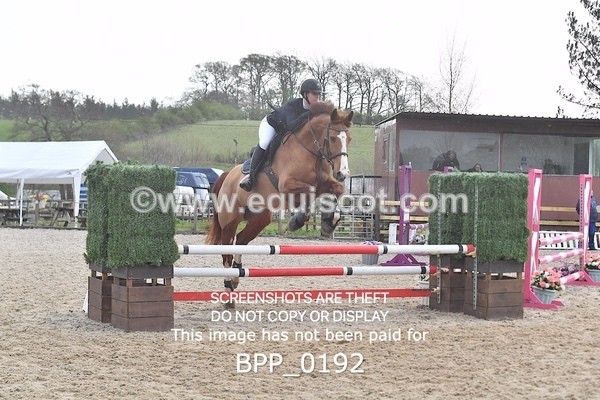 BPP_0192 - CLASS 1 FRI Club/ Unaffiliated 80cms Open