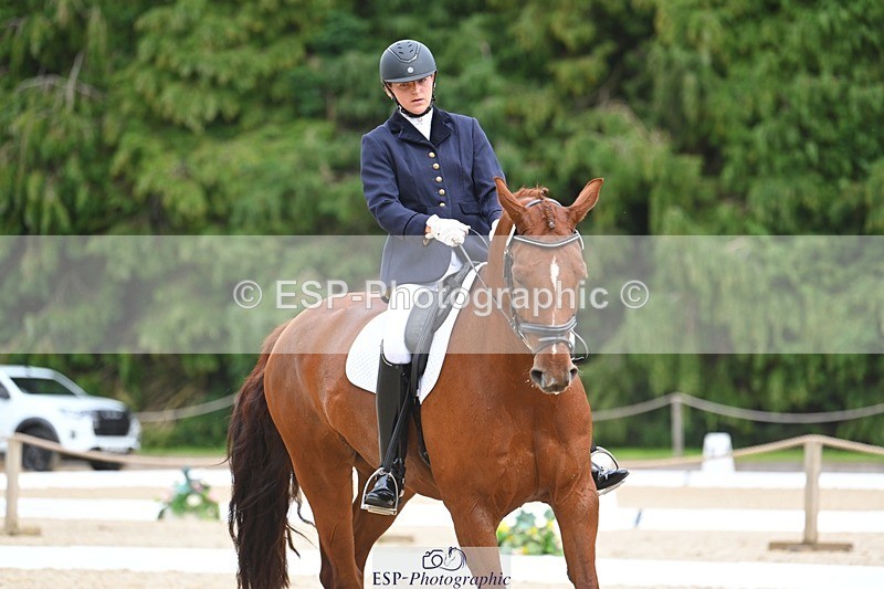 230813-135441-07641 - Cls 13 Medium Bronze 13.15 to End