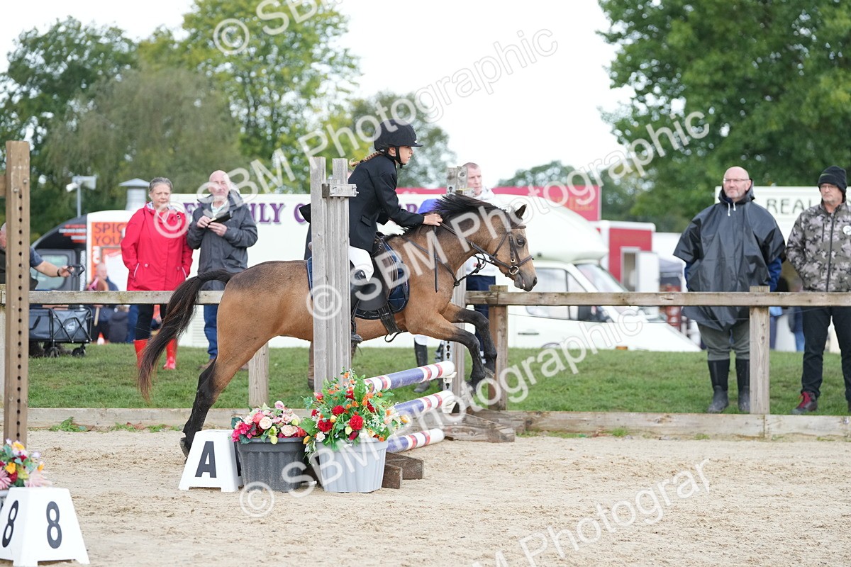 SBM_39891 - J6 - Junior Pony 55cm Championship