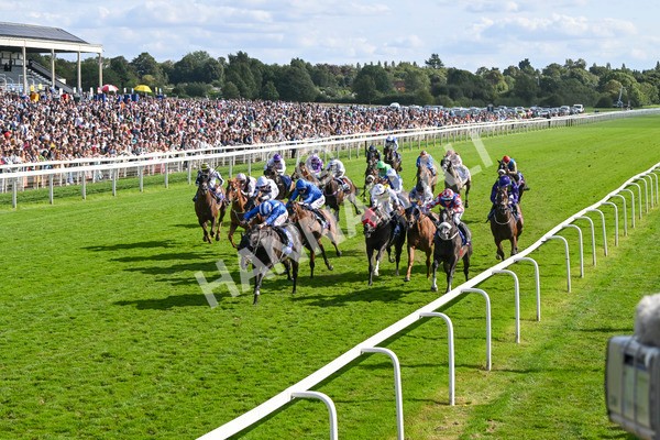 240824-Race 5-Elmonjed-1748 - Race 5 4.10pm Sky Bet Constantine Handicap