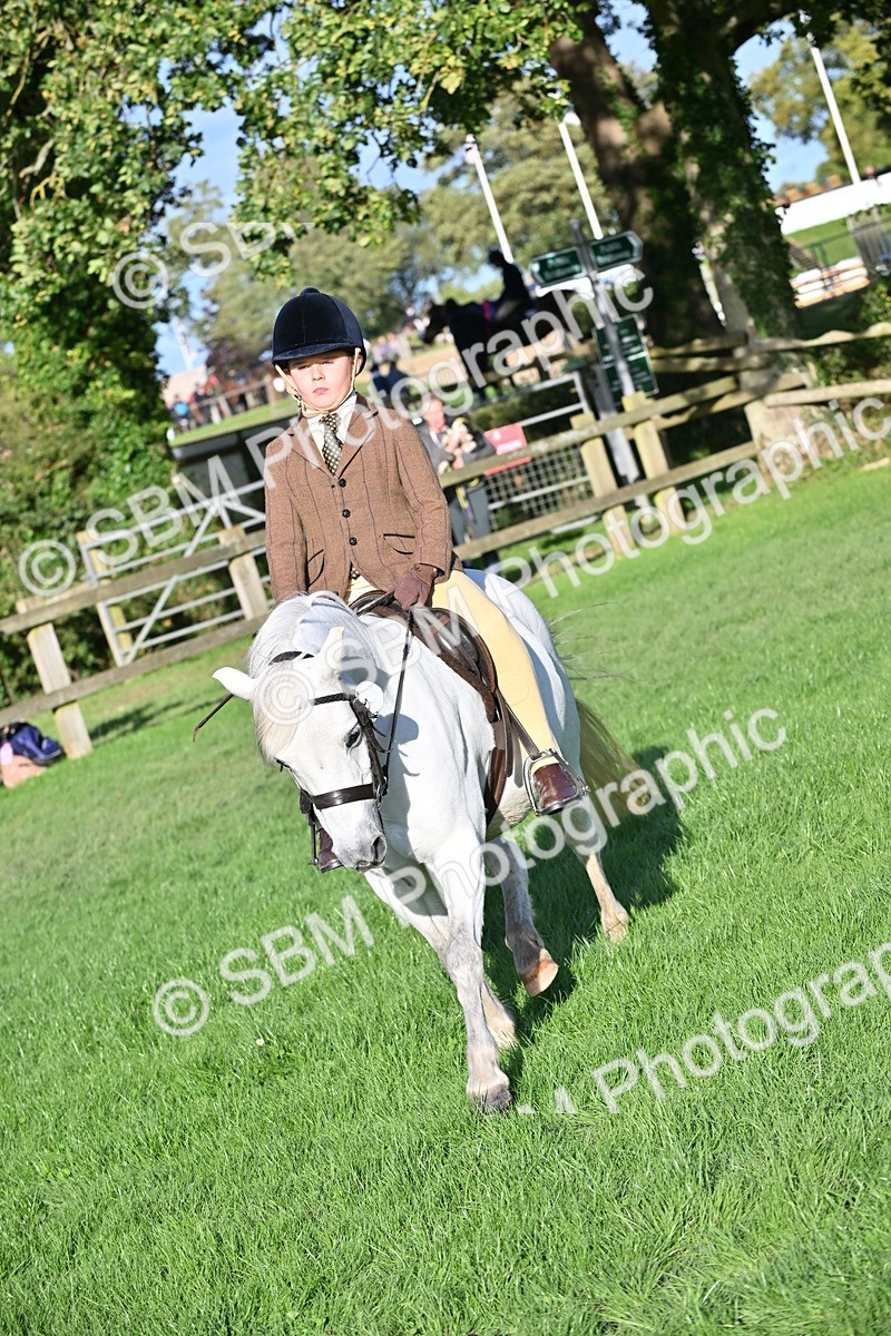 SBM_53033 - S23 - First Ridden Mountain & Moorland Pony