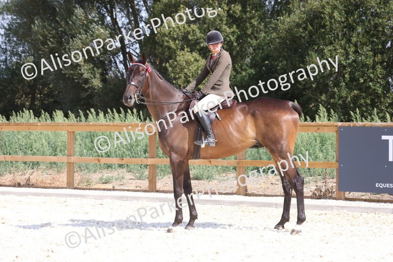 20260802-0728 - Class 8 - Best Riding Horse or Pony